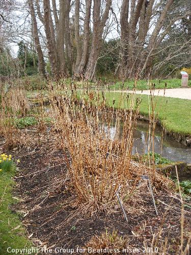 Cambridge Botanic (8)